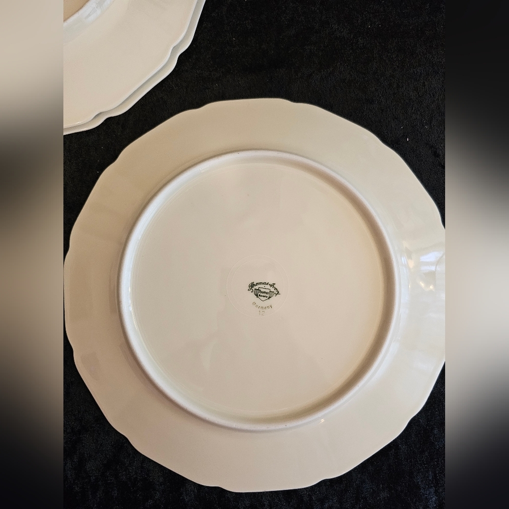Set Of 4, Gorgeous Sylvia - Thomas Ivory Bavaria Dinner Plates - Picture 9 of 9